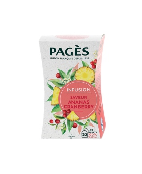 Infusion saveur Citron vert Gingembre - PAGÈS