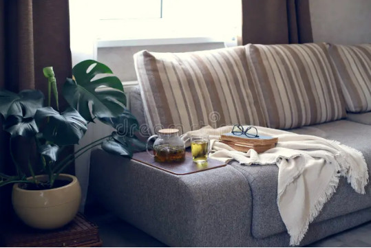 Infusion à boire le soir : la sélection idéale pour des soirées apaisantes