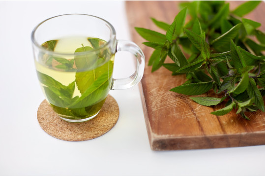 Verveine : Origines, Caractéristiques Et Utilisations