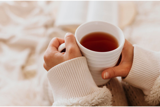 Qu’est-ce que le thé fermenté ?